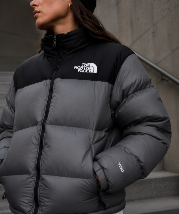 Campera Nort Face 700 Grey