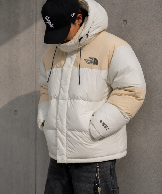 Campera TNF retro GORE-TEX