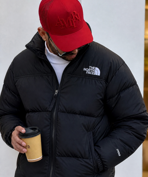Campera Nort Face 700